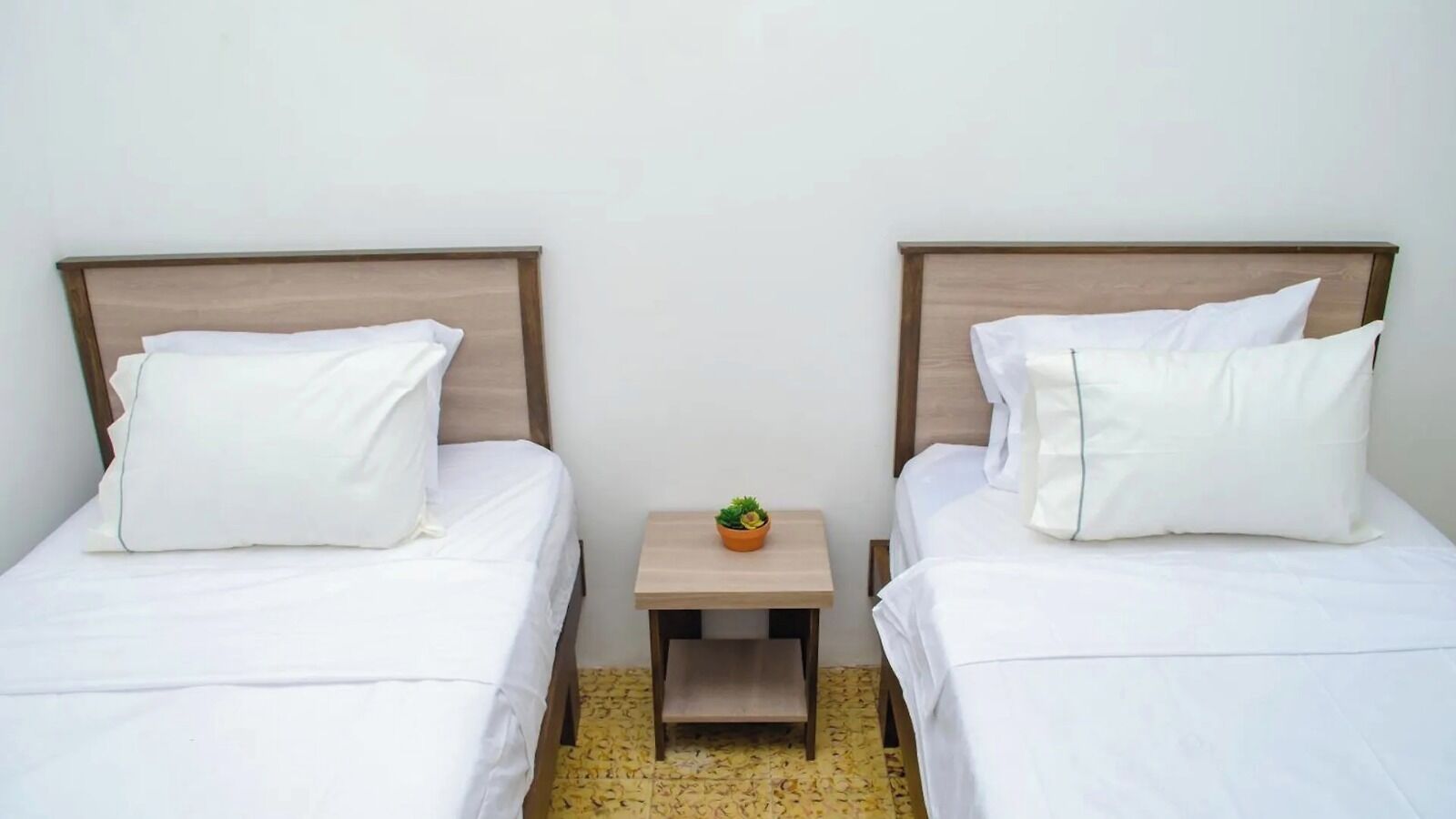 Two single beds with wooden headboards, white bedding, and a small table with a potted plant between them.
