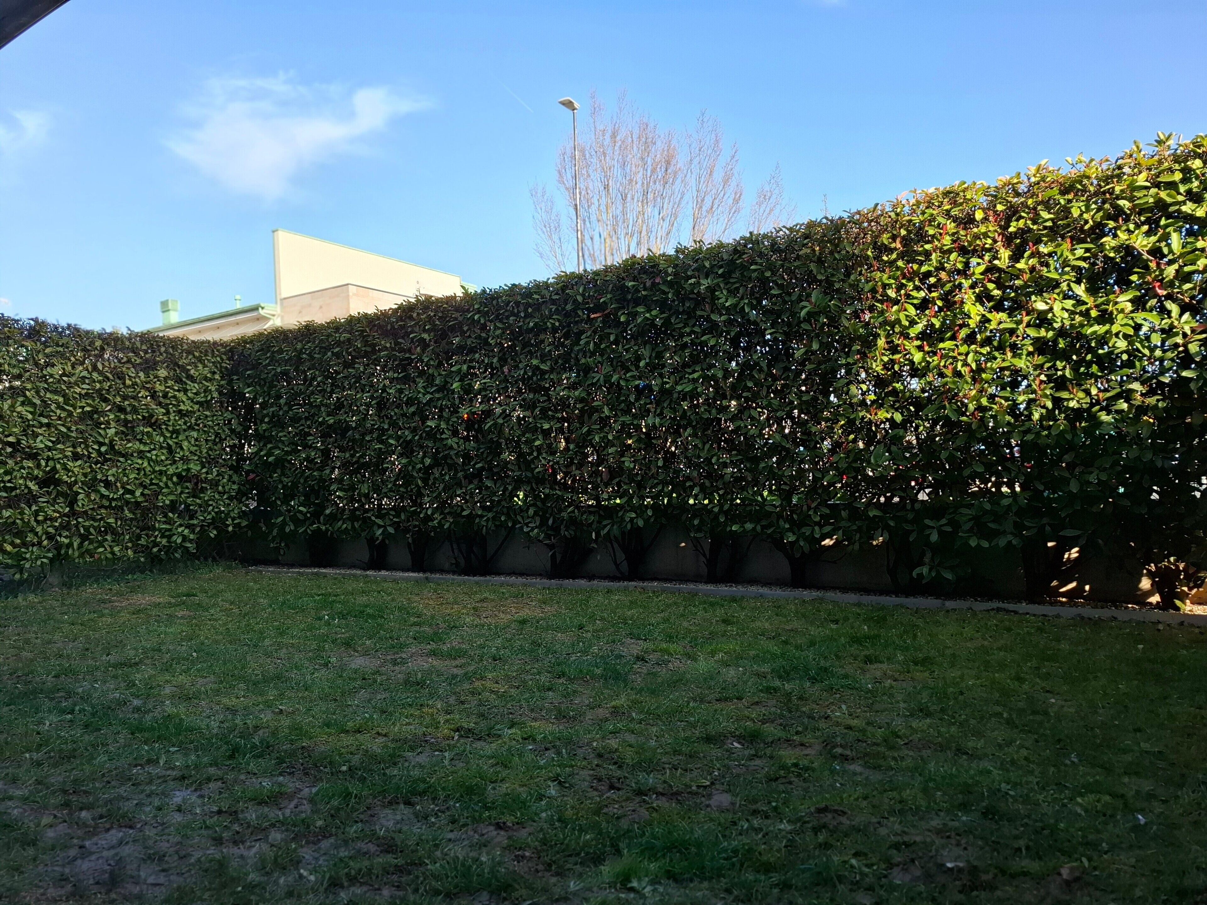 Parco della struttura