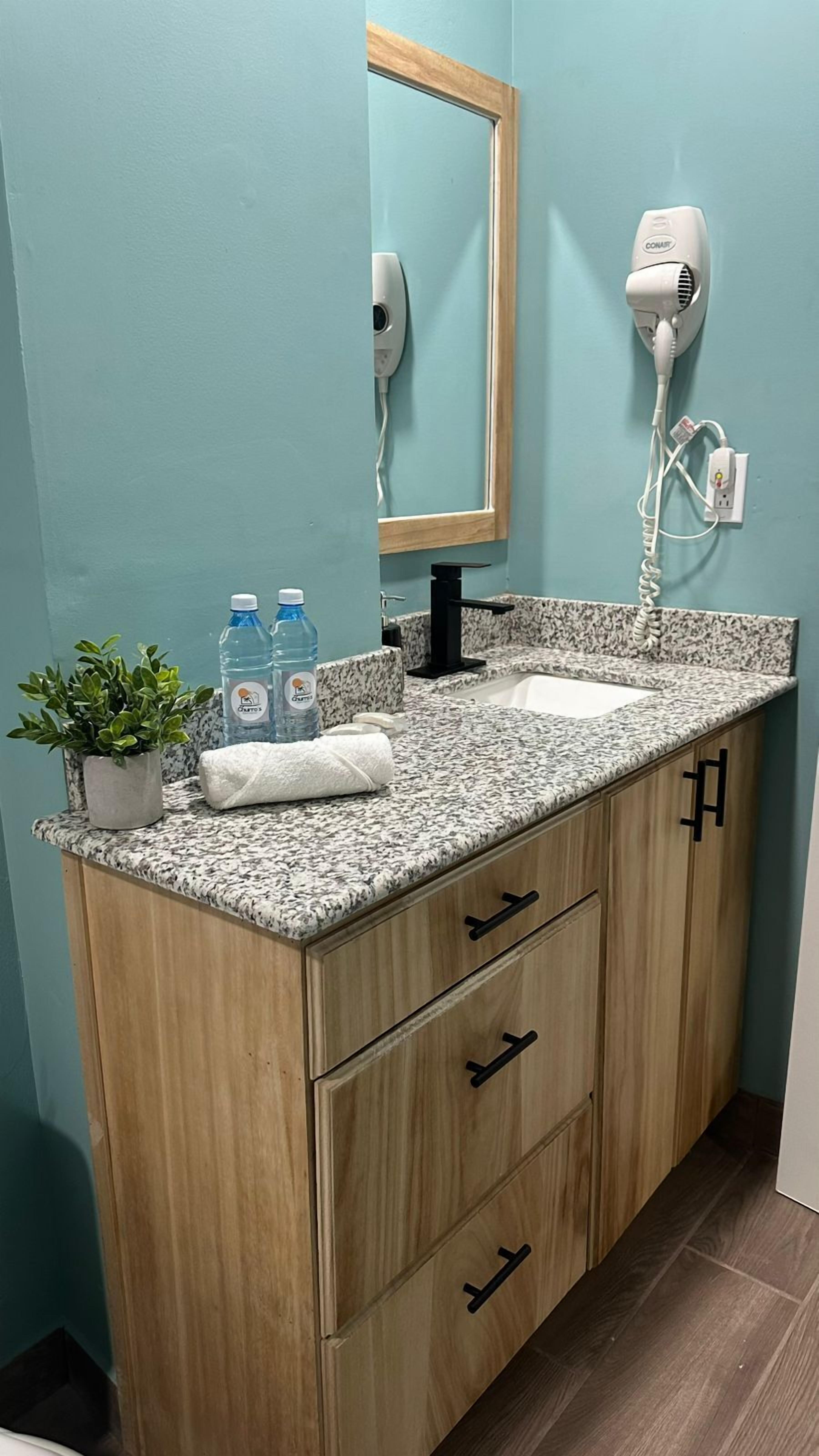 A bathroom with a granite countertop, a sink, a mirror, a hairdryer, and a potted plant.
