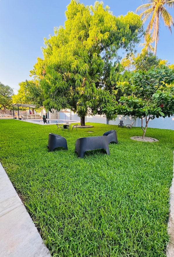 Property grounds - CHURROS (La Libertad)