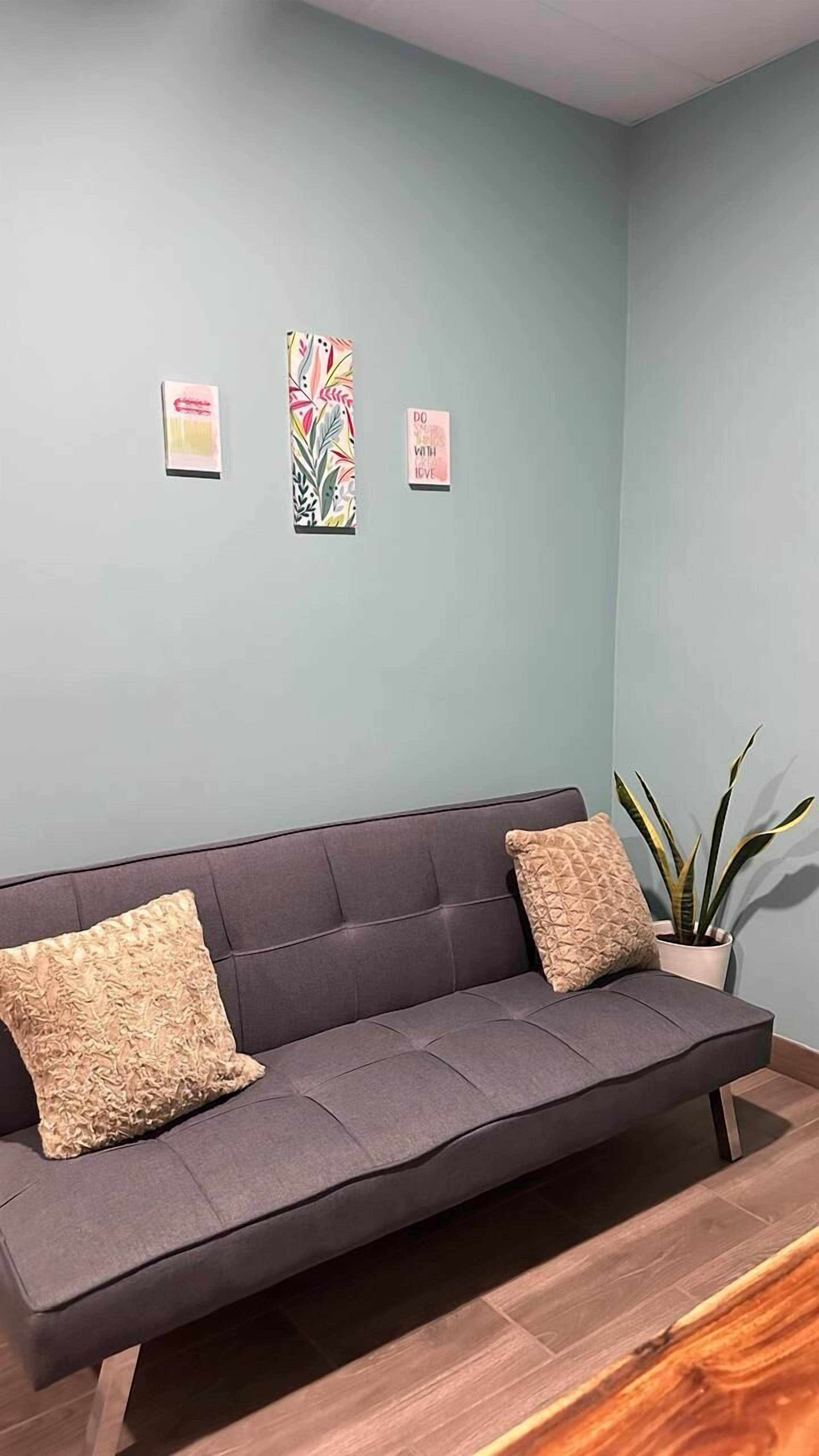 A grey sofa with two cushions, a small potted plant, and two wall art pieces in a room with light blue walls.