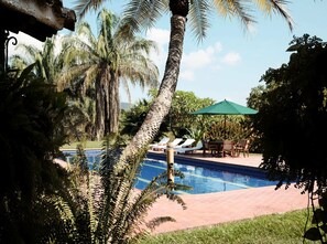 Pool - Beautiful farm in Carmen de Apicalá - Private swimming pool (Carmen de Apicalá - Tolima)