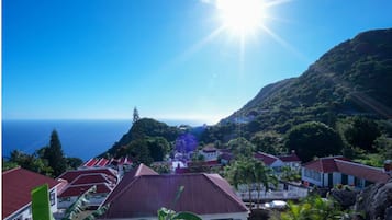 Deluxe Single Room, Garden View | Terrace/patio
