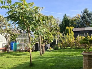 Property grounds - Apple Byrd (Kendal)