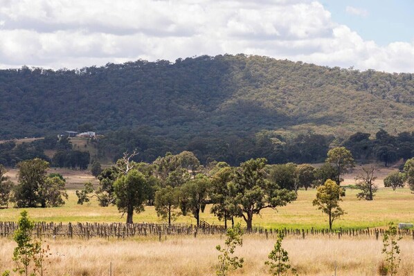 Un paysage rural avec une clôture, des arbres et une colline en arrière-plan.