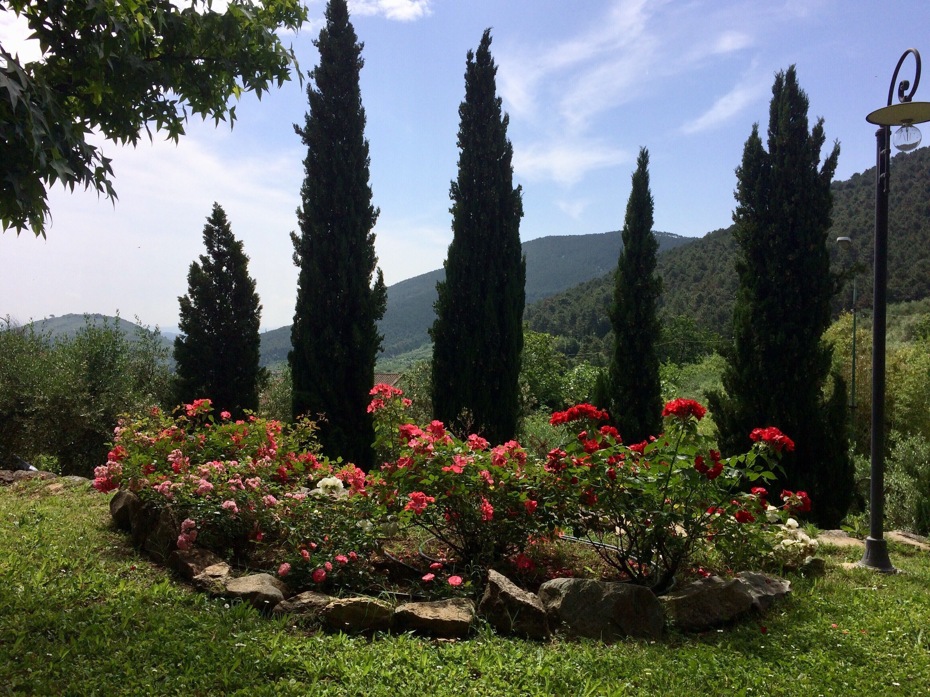 Área da propriedade