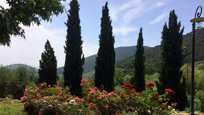 A garden with cypress trees and red flowers, a lamp post, and a mountainous backdrop.