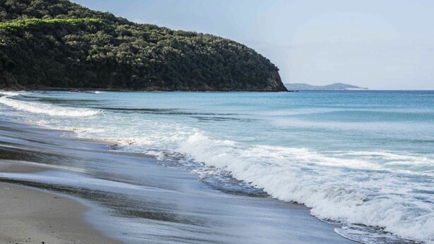 A beach with waves, a sandy shore, and a forested hill in the background. - Villa Pierotta by MMega (Scarlino)