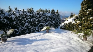 Área da propriedade