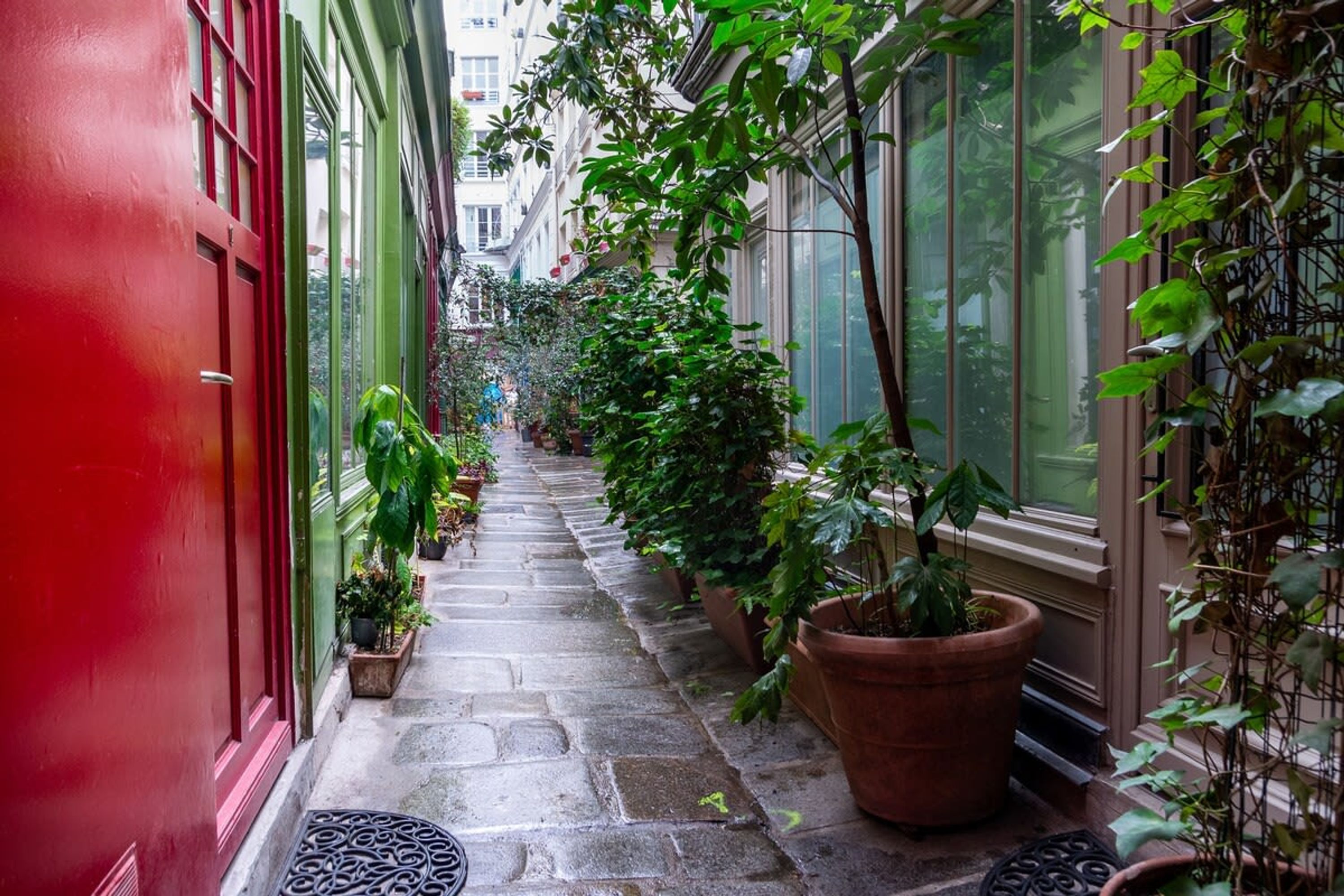 A narrow stone pathway flanked by potted plants and a red door.