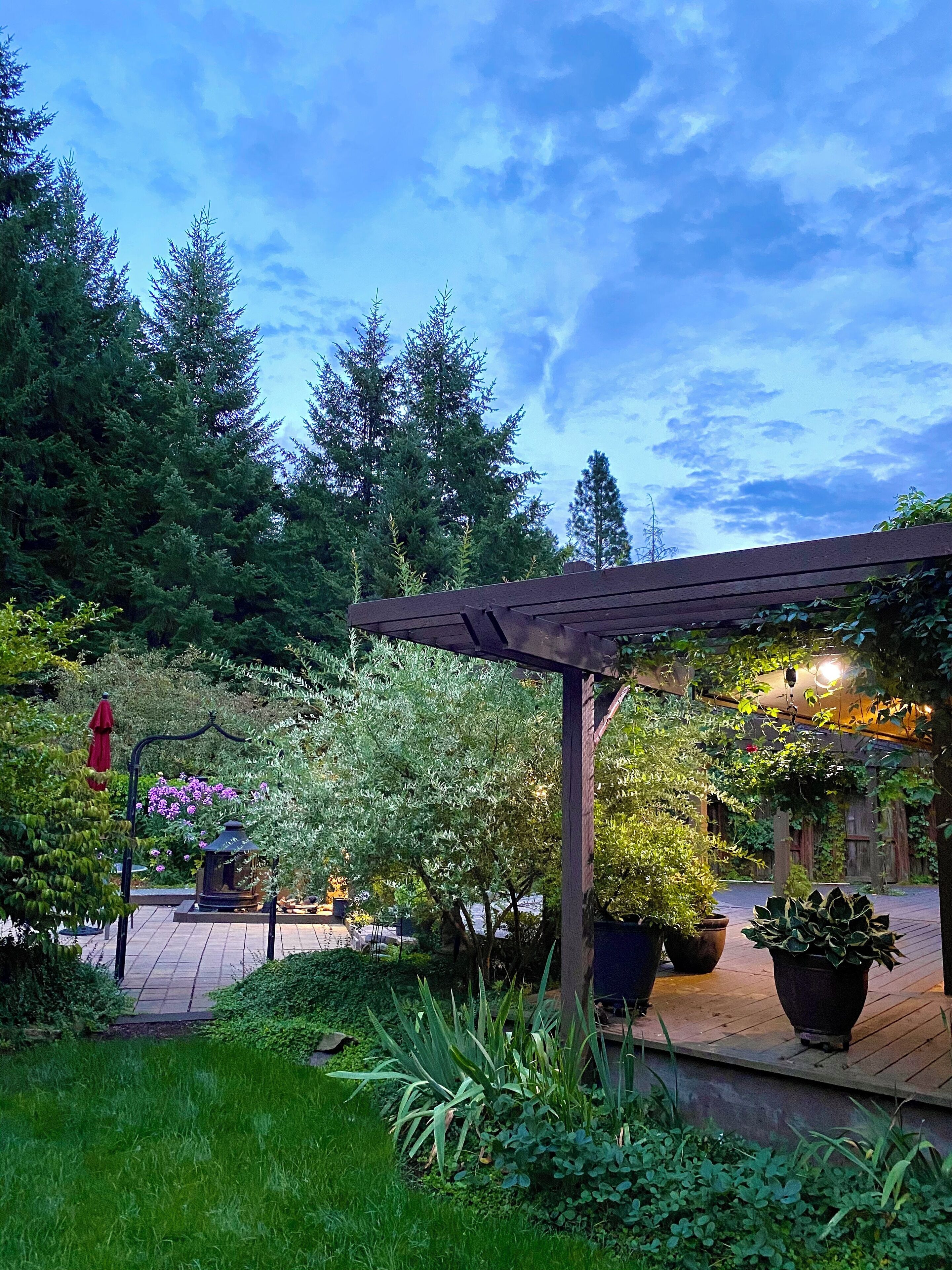 المنطقة المحيطة بالمنشأة