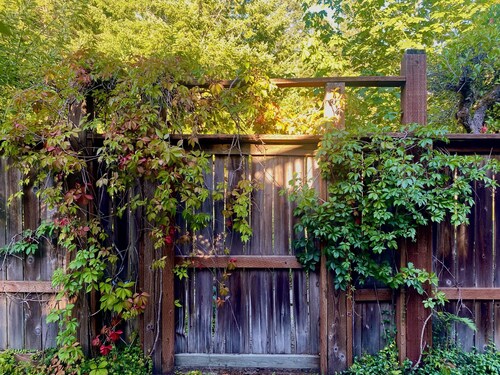 Rivers Chalet: An inspiring stay on the edge of the Gifford P. National Forest.