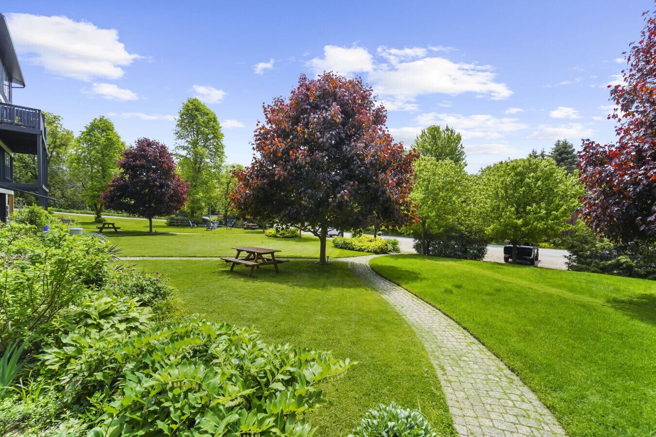 Restauration en plein air