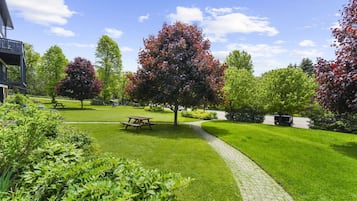 Restauration en plein air