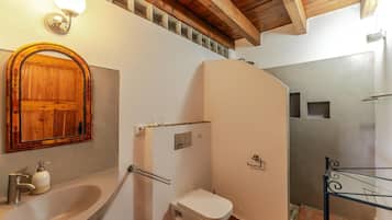 Ducha, secador de pelo y toallas