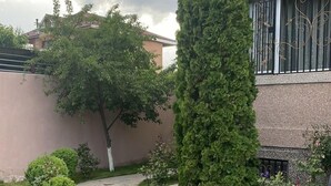 A stone pathway leading to a building with a large tree and a hedge. - Avan Luxury Villa (Arinj)