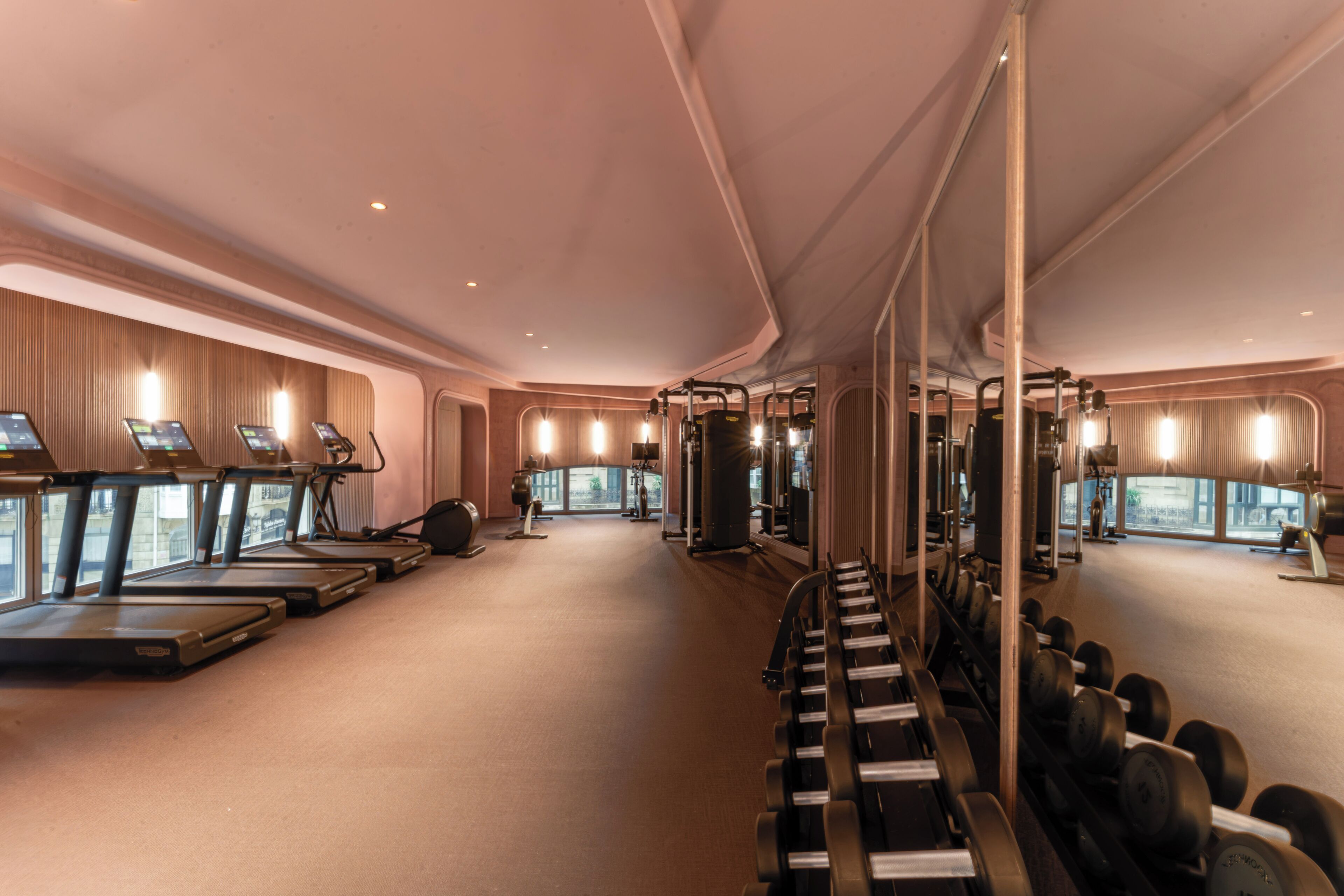 Un gimnasio con cintas de correr, máquinas de pesas y mancuernas.
