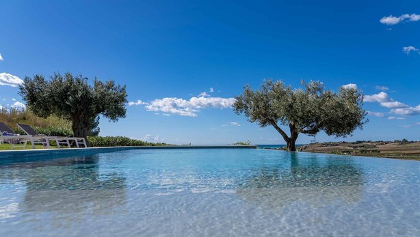 En infinitypool med kristallklart blått vatten, två stora olivträd och en avlägsen utsikt över ett kustlandskap.