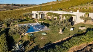 En modern villa med en swimmingpool, omgiven av frodiga trädgårdar och vingårdar.