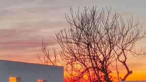 A modern building with a pool, a sunset in the background, and a tree in front. - Casa no Montinho  (Ourique)