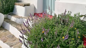 A white building with a light blue door, a window, and a small garden with various plants and flowers. - Casa no Montinho  (Ourique)