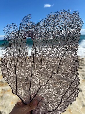 صورة غير مصنفة، 4 من 11، زرّ