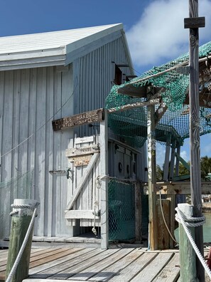 صورة غير مصنفة، 5 من 11، زرّ