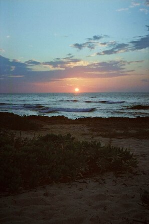 Unclassified image, 4 of 11, button