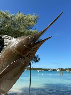 صورة غير مصنفة، 3 من 11، زرّ