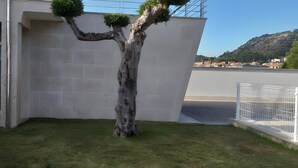 Ein Baum in einer angelegten Grünfläche, im Hintergrund ein Gebäude.
