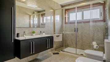 Shower, hair dryer, towels