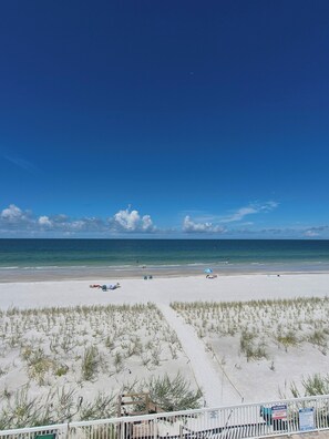 A beach with a clear sky, sandy shore, and a fenced area with signs. - NEW UPGRADES on lovely Indian Rocks Beach (Indian Rocks Beach)