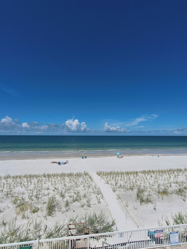 A beach with a clear sky, sandy shore, and a fenced area with signs. - NEW UPGRADES on lovely Indian Rocks Beach (Indian Rocks Beach)