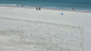 A beach with clear skies, a sandy shore, and a few people.