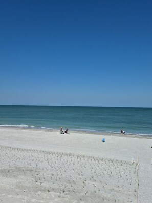 On the beach - 2-bedroom condo on lovely Indian Rocks Beach with AC (Indian Rocks Beach)