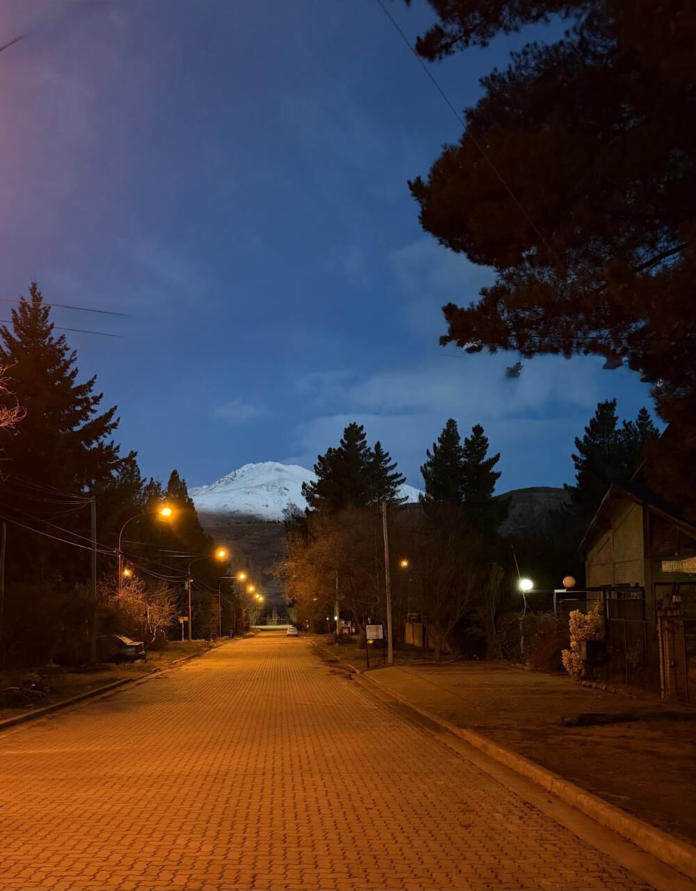 A paved street with street lamps, trees, and a snow-capped mountain in the background.