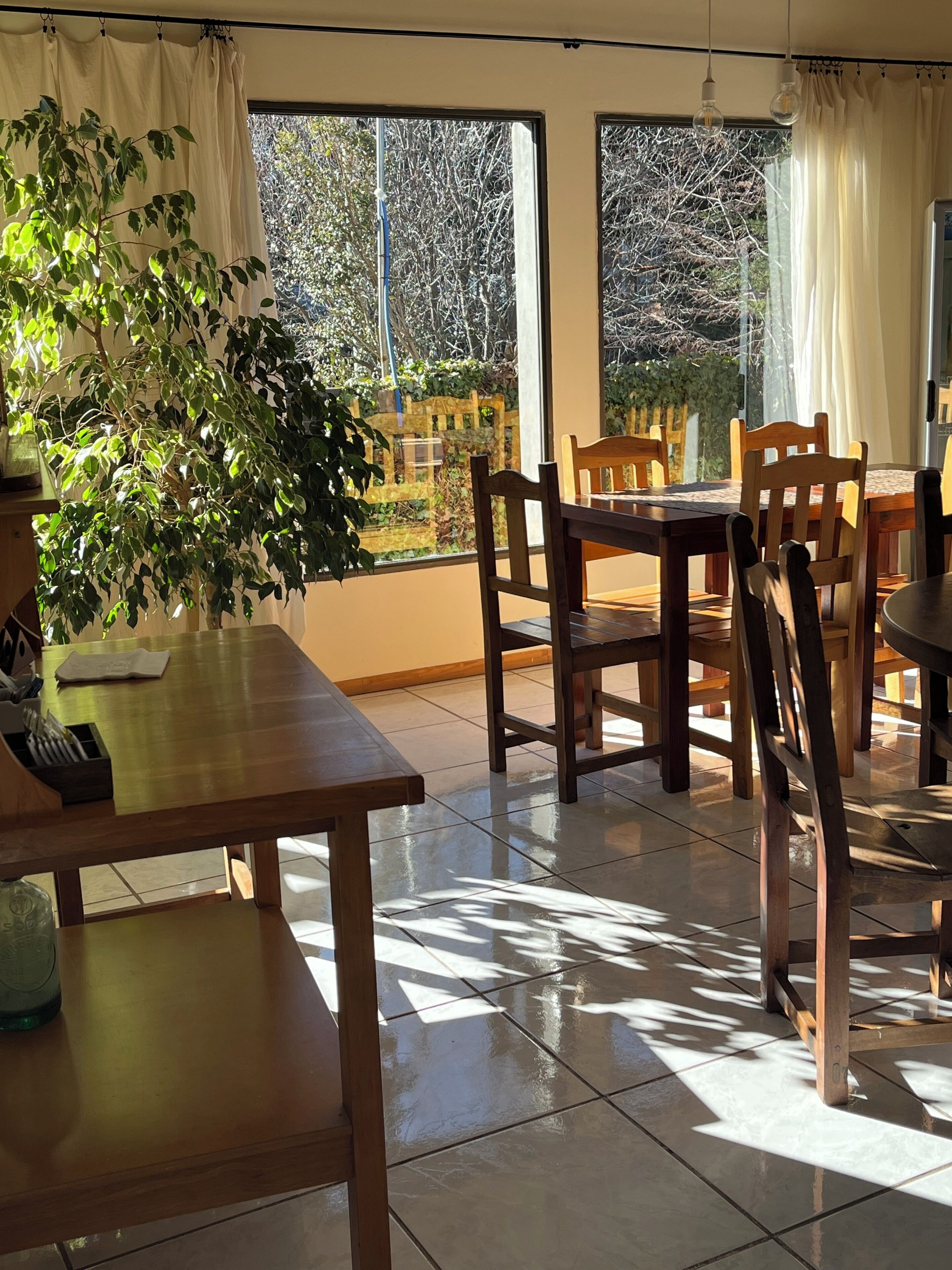 A dining area with a wooden table and chairs, a potted plant, and large windows with curtains.