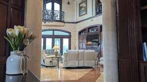 TV connectée, cheminée, lecteur de DVD, livres