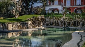 Ein Schwimmbecken mit klarem Wasser, umgeben von einer Steinmauer und Grünpflanzen.