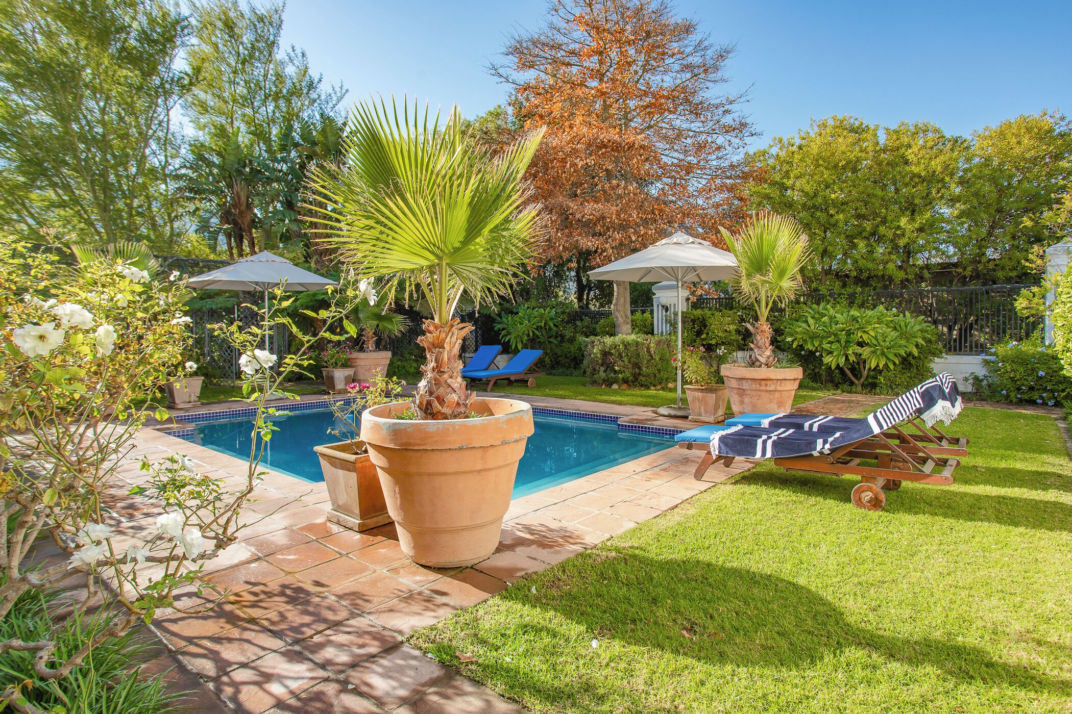 デラックス ダブルルーム | プール | 2 つの屋外プール