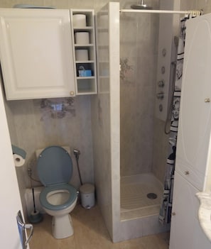 Regadera, jabón, papel de baño 