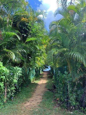 Áreas de la propiedad