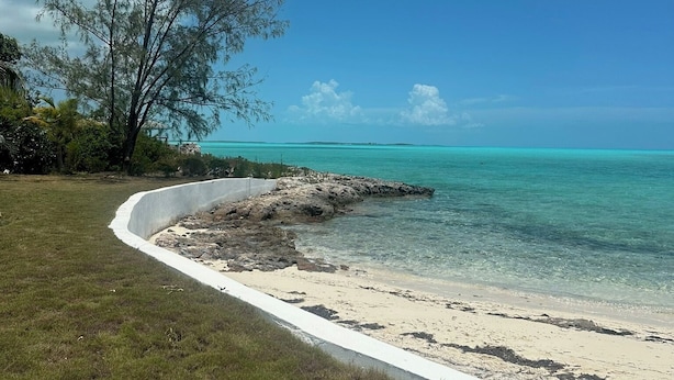 Uma praia com areia branca, águas turquesa cristalinas e uma árvore grande à esquerda.
