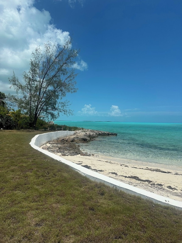 A beach with a white sandy shore, clear turquoise water, and a large tree on the left.