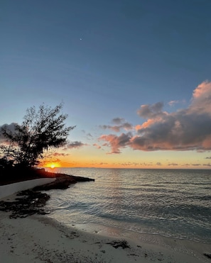 A beach at sunset with a clear sky, calm sea, and a tree on the left.