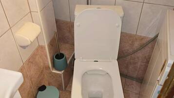 Hiustenkuivaaja, pyyhkeet, saippua, vessapaperi