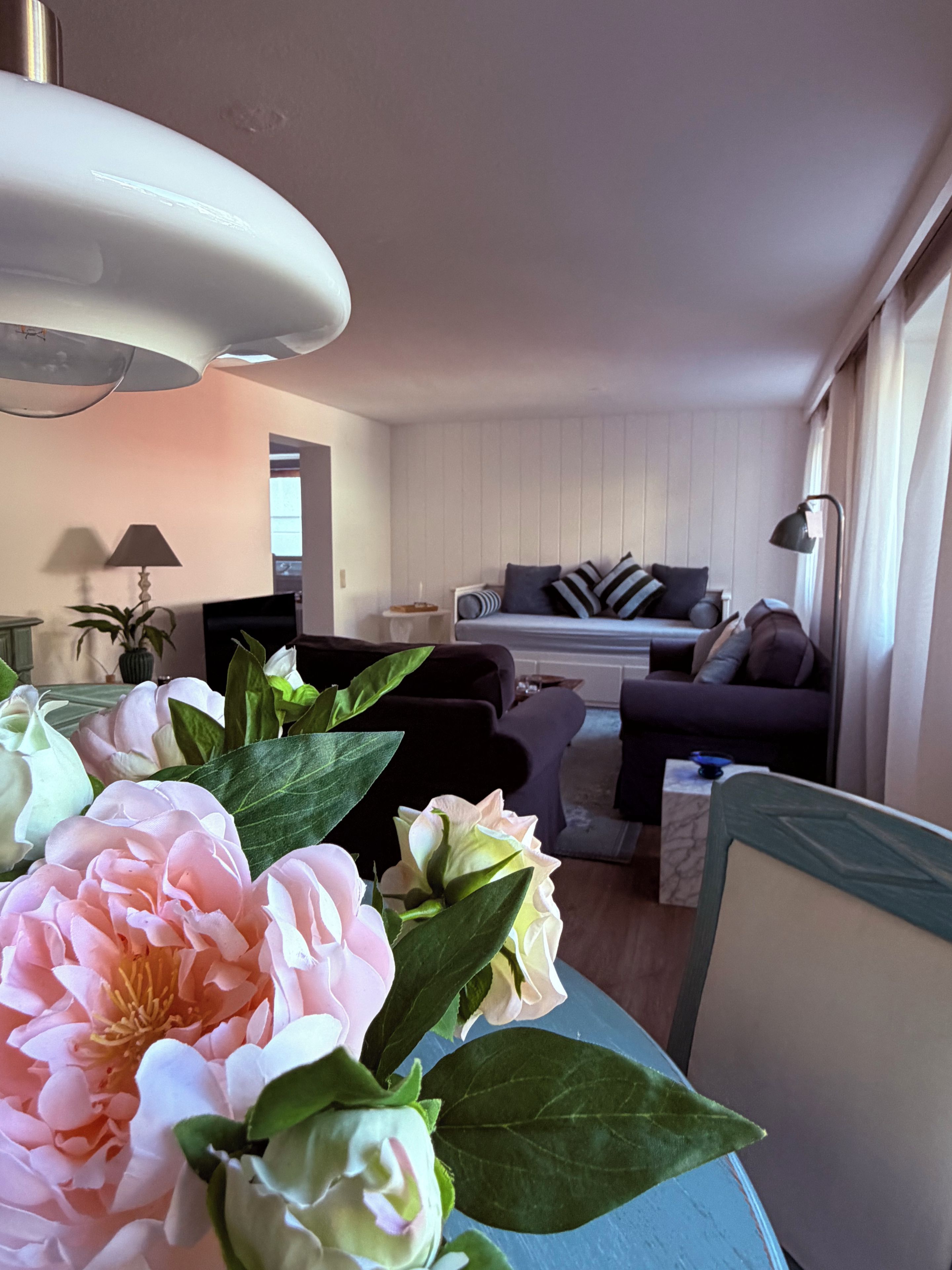 Un salon avec un canapé, une table basse et une lampe. On aperçoit une plante au premier plan.