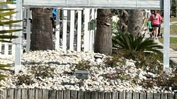 A sign with the text "Whispering Sands" surrounded by palm trees and a wooden fence. - Cozy Coastal Condo in Murrells Inlet! (Garden City)