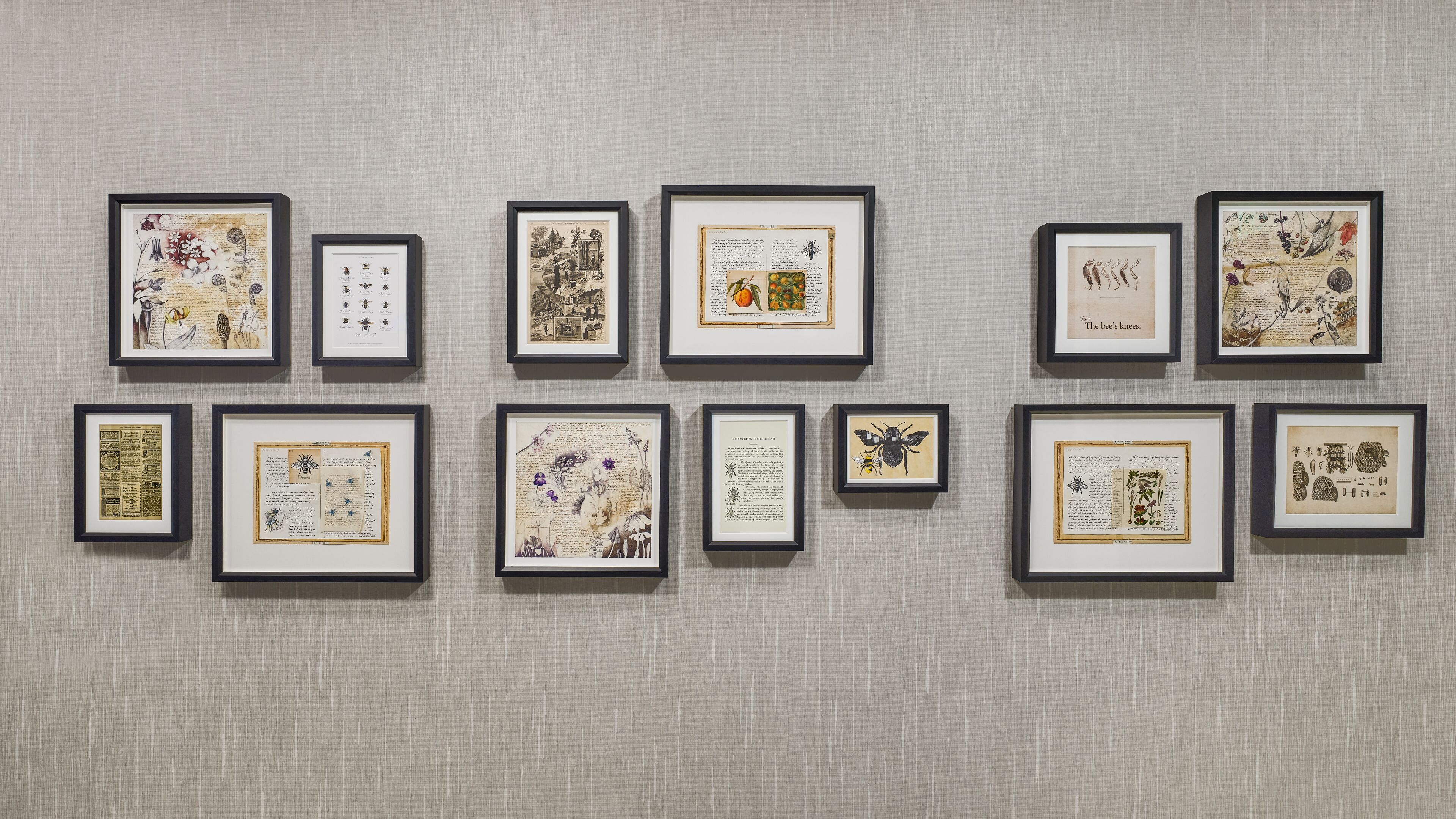 A wall with multiple framed documents or pages, each with text and illustrations.