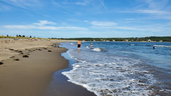Beach - Cozy Ocean Retreat just a 2-minute walk from Cow Bay surf spot. (Cow Bay)